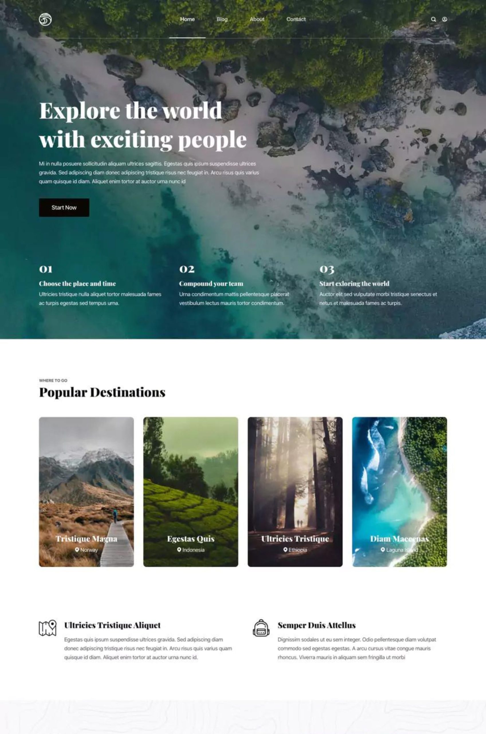 Travel Elementor Website Template